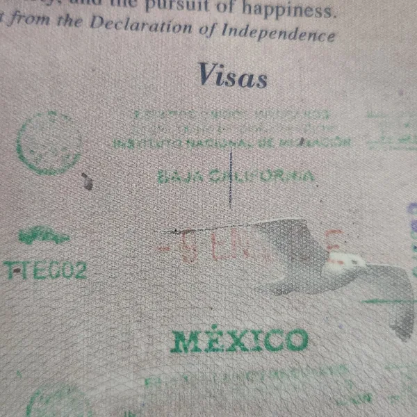mexican fmm