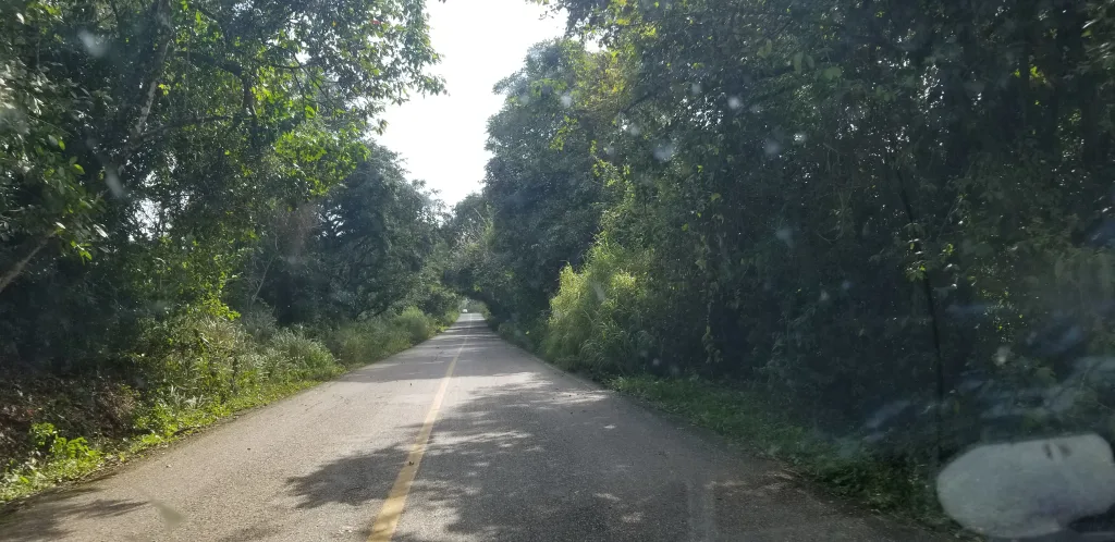country road in Chiapas