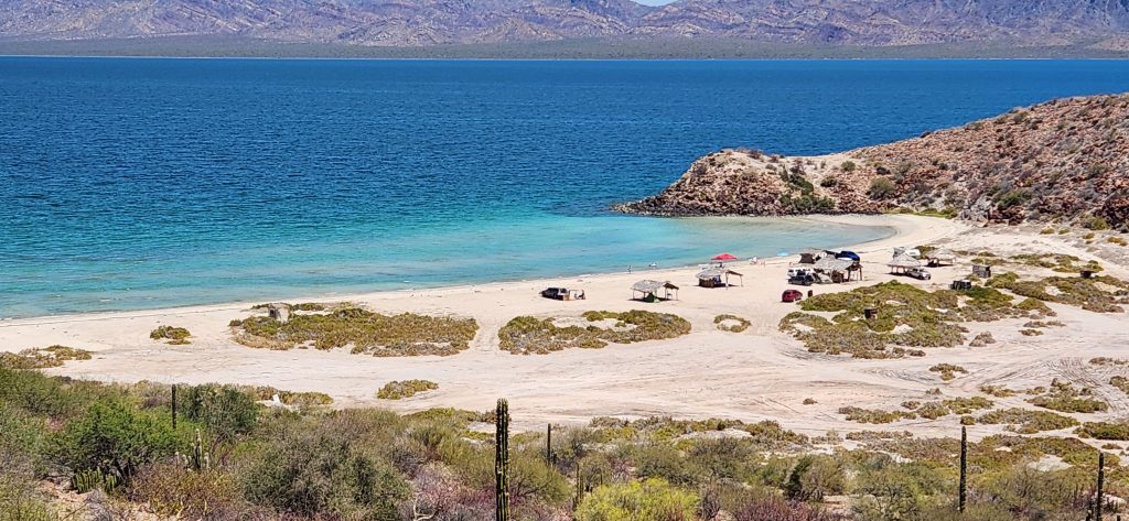 bahia concepcion camping