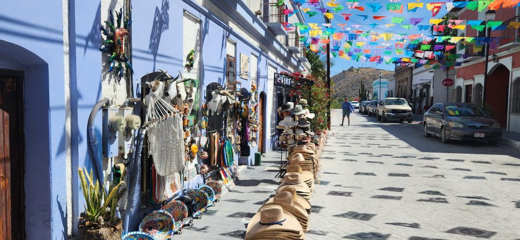 artisan markets in todos santos mexico