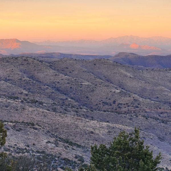 mexican insurance in tucson